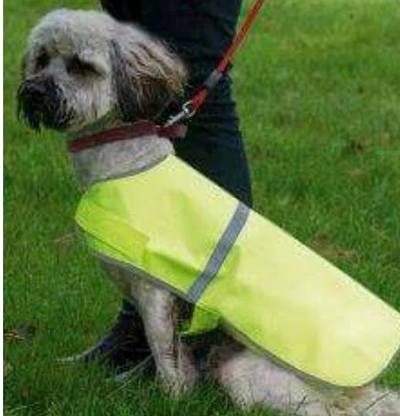 Hi Viz Dog Coat Vest
Condition:  New product

A Great way to Make sure your dog can be seen while out in the dark

XS 23CM - £9.99
 S 33CM - £9.99
M 45CM - £9.99
 L 53CM - £9.99